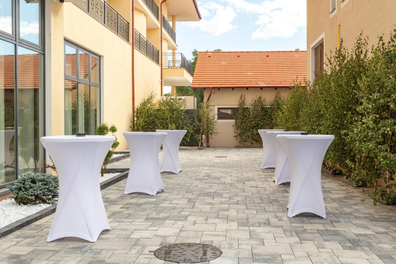 Hotel Leul De Aur Sebeş المظهر الخارجي الصورة