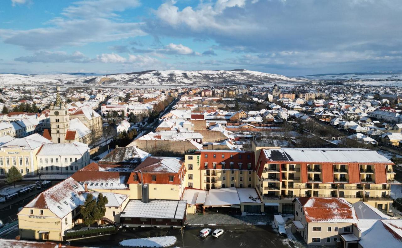 Hotel Leul De Aur Sebeş المظهر الخارجي الصورة
