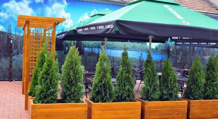 Hotel Leul De Aur Sebeş المرافق الصورة